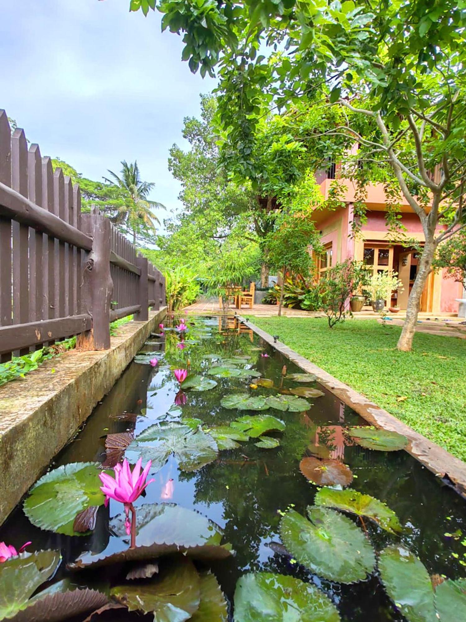 Art Yala Boutique Resort Tissamaharama Zewnętrze zdjęcie
