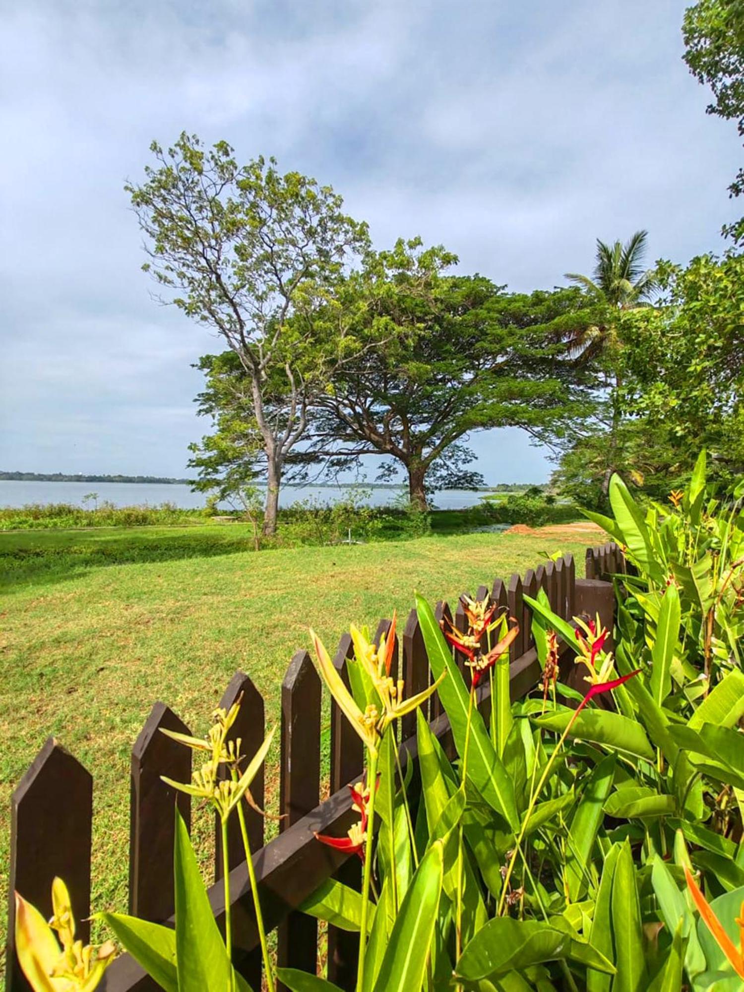 Art Yala Boutique Resort Tissamaharama Zewnętrze zdjęcie