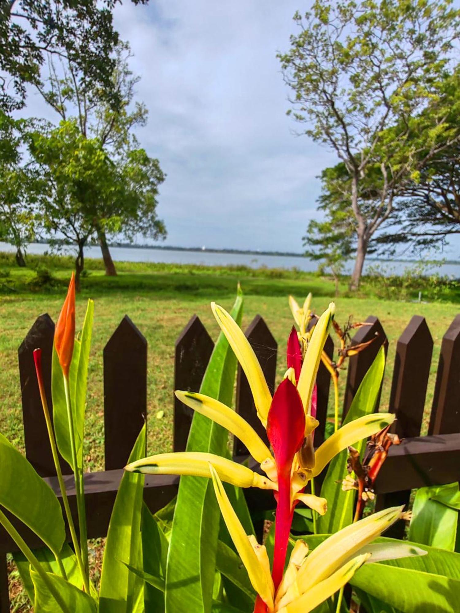 Art Yala Boutique Resort Tissamaharama Zewnętrze zdjęcie