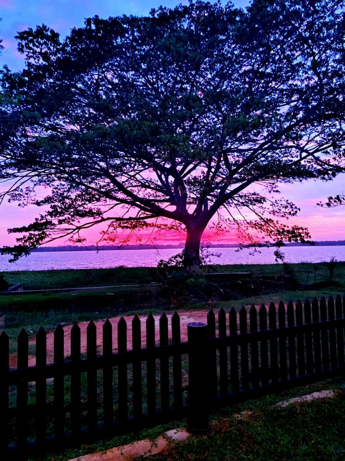 Art Yala Boutique Resort Tissamaharama Zewnętrze zdjęcie