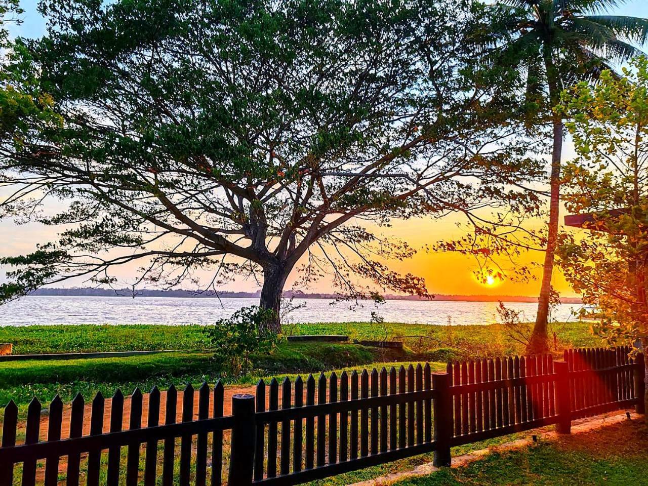 Art Yala Boutique Resort Tissamaharama Zewnętrze zdjęcie